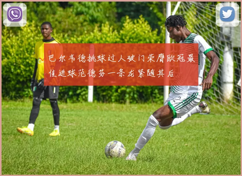 巴尔韦德挑球过人破门荣膺欧冠最佳进球范德芬一条龙紧随其后